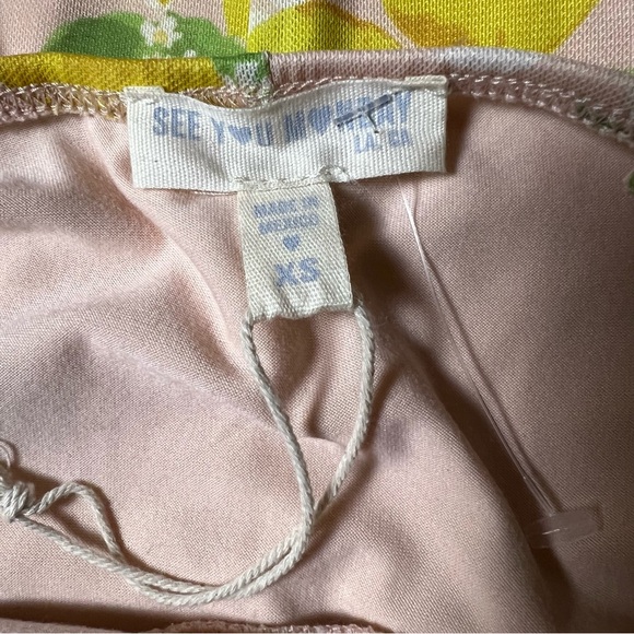 SEE YOU MONDAY Lemon Print Mesh Maxi Dress Size XS - Picture 5 of 9